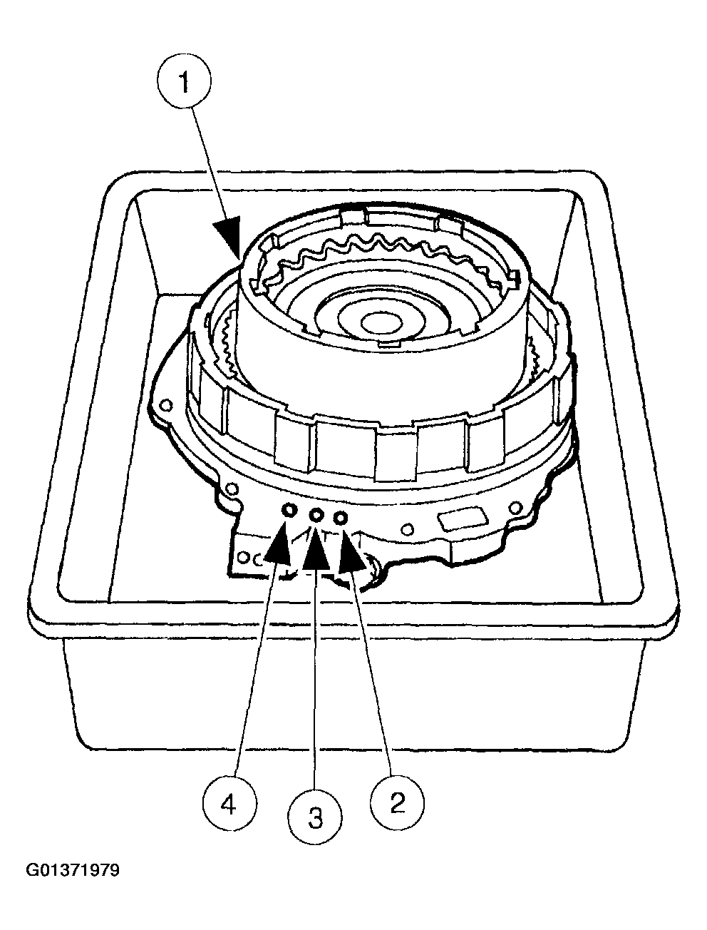 G01371979