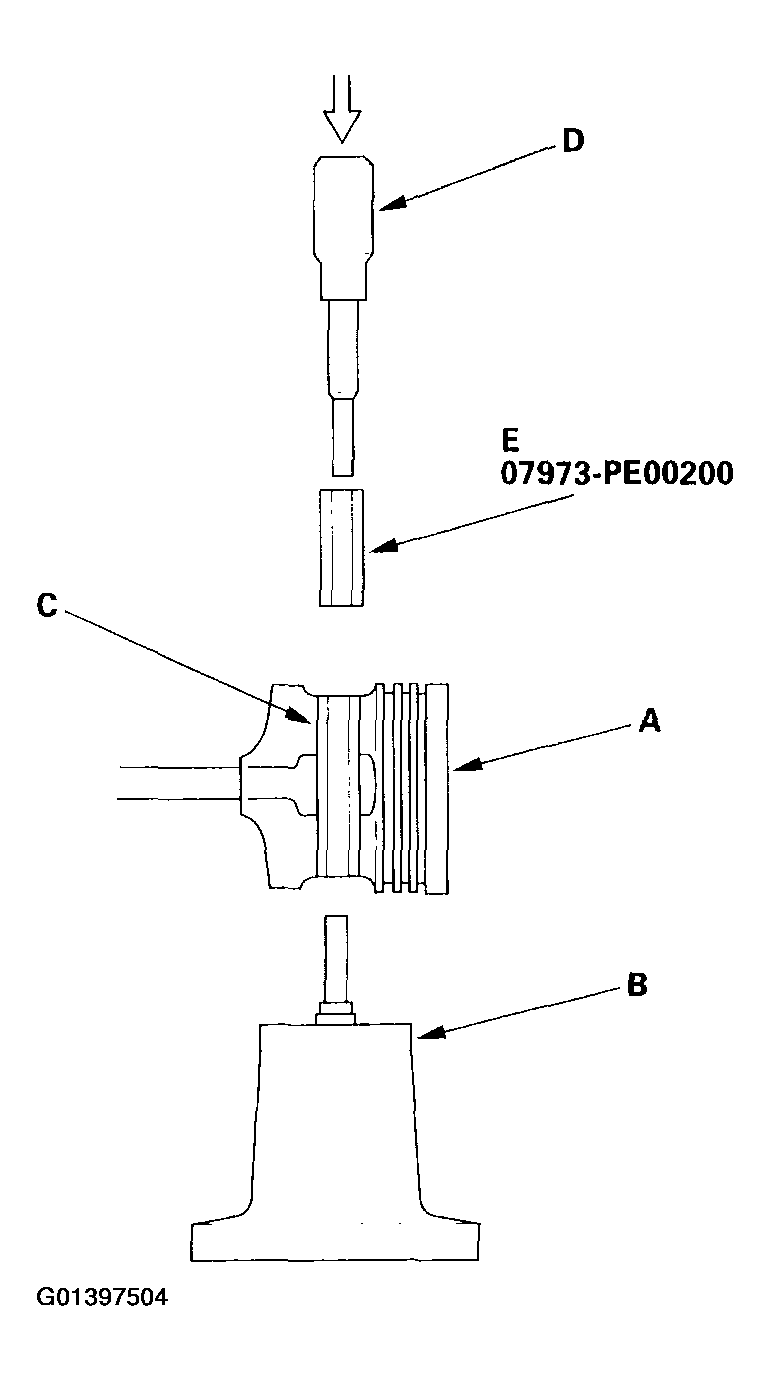 G01397504