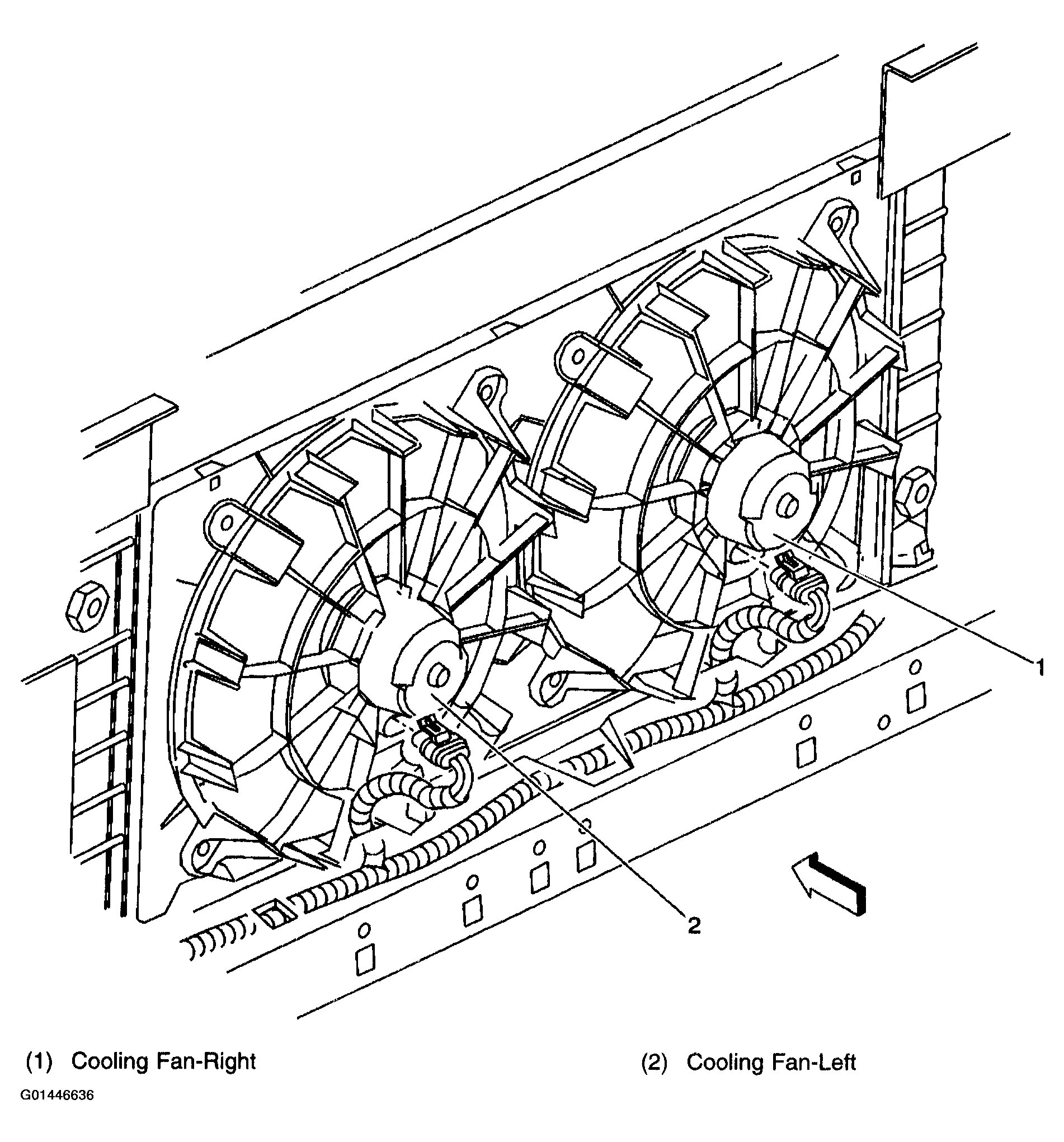G01446636