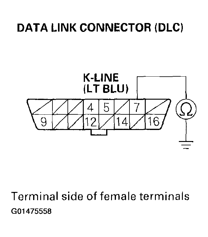 G01475558