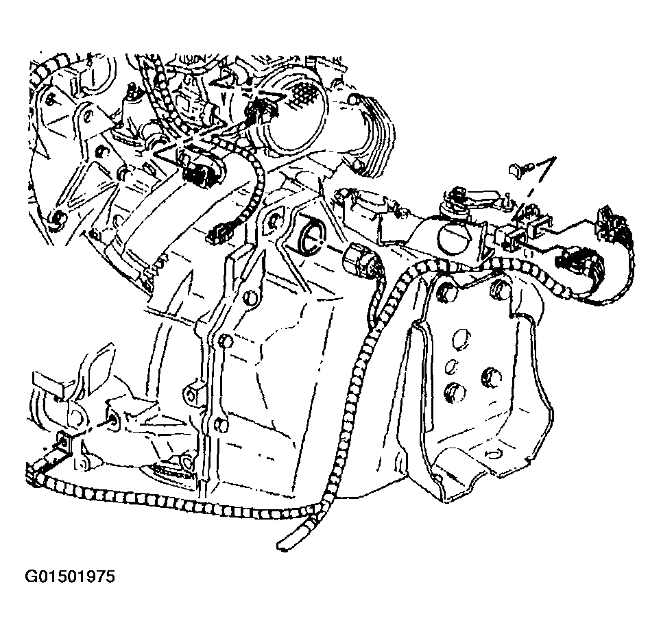 G01501975