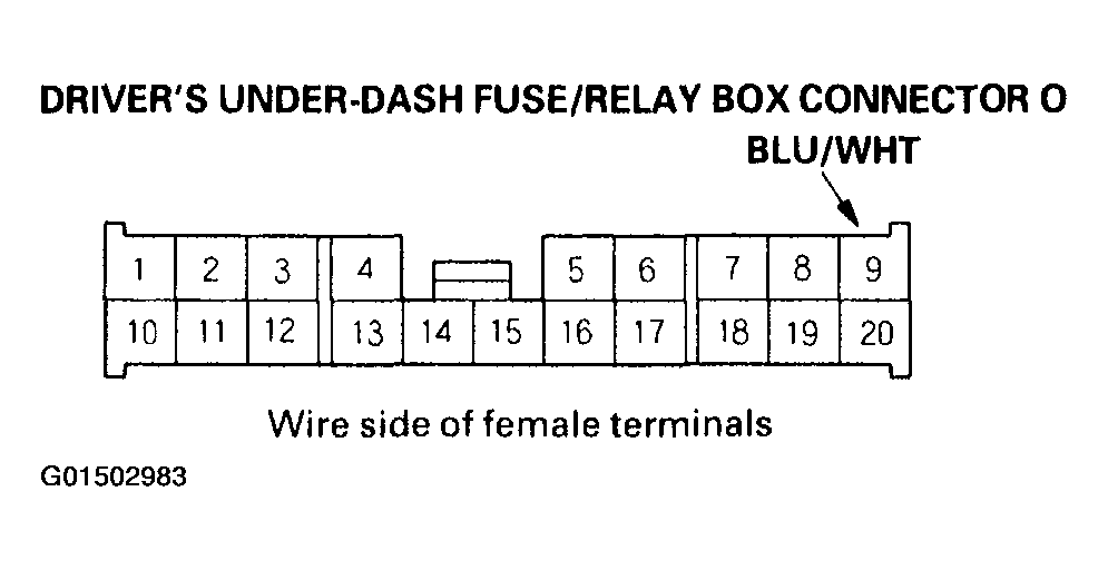 G01502983