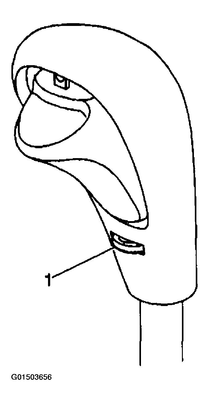 G01503656