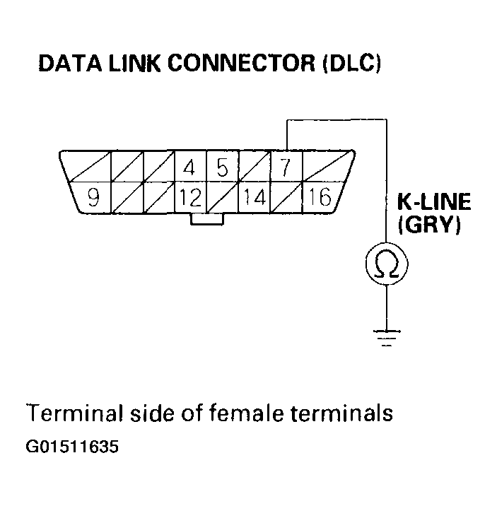 G01511635