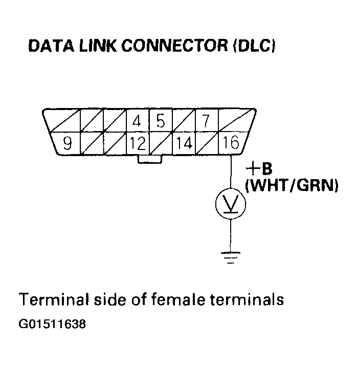 G01511638