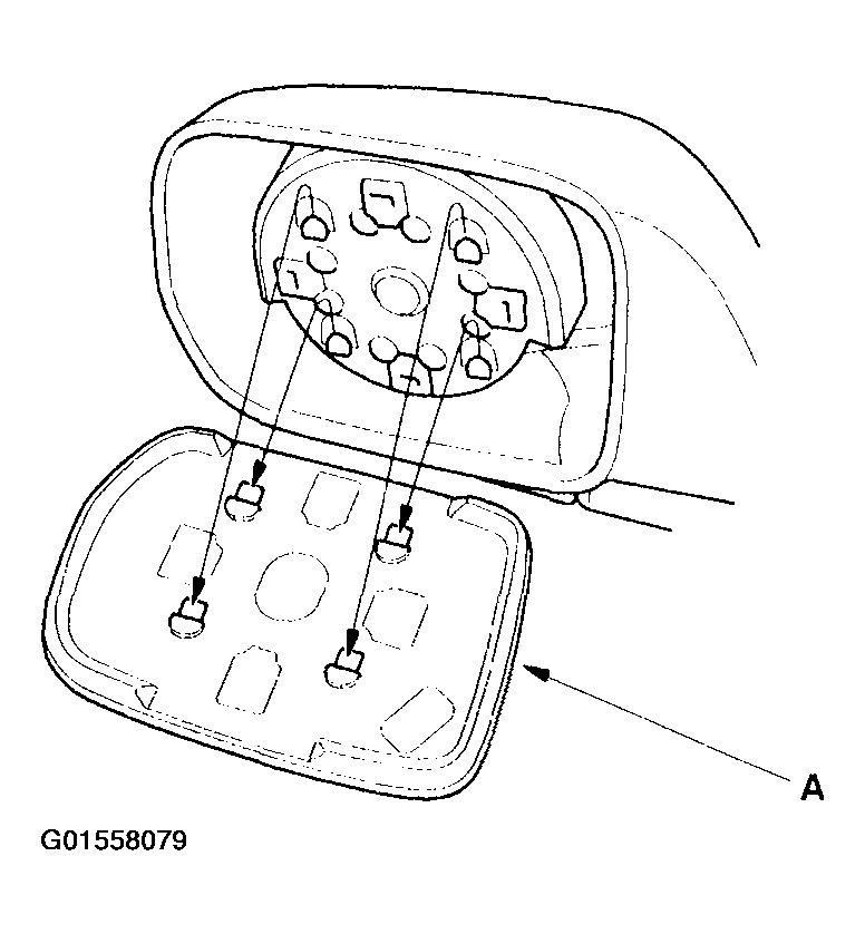 G01558079