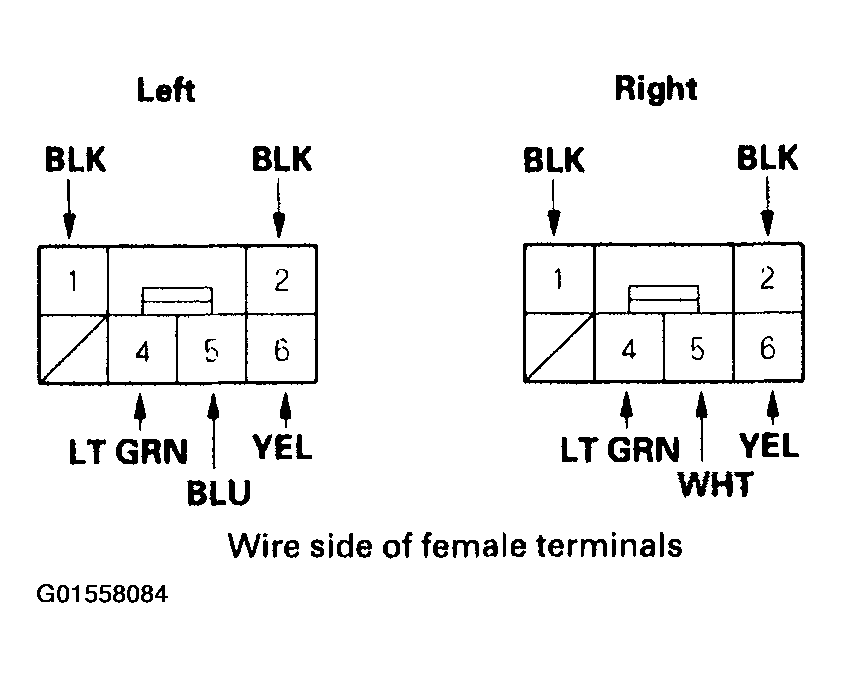 G01558084