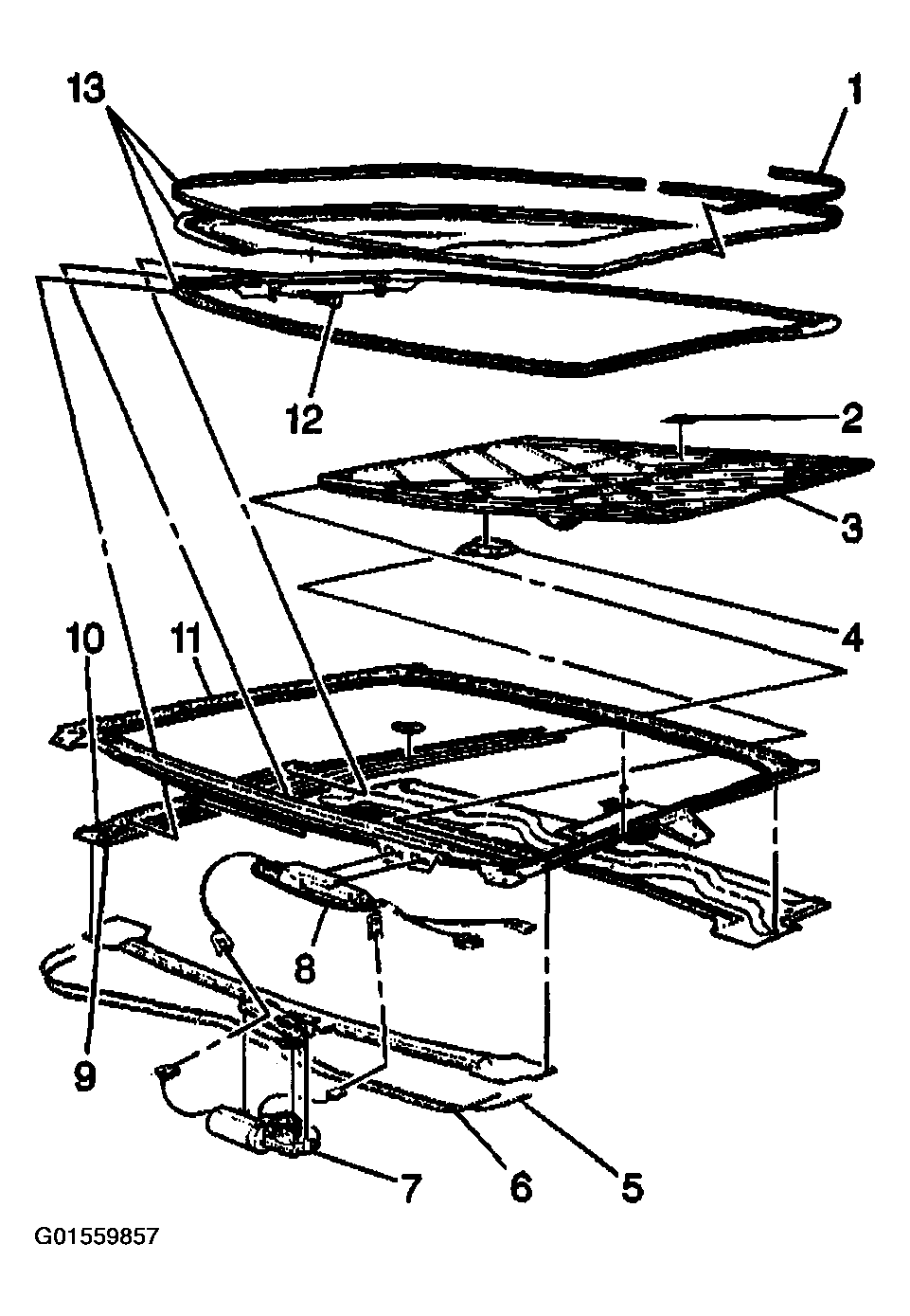 G01559857