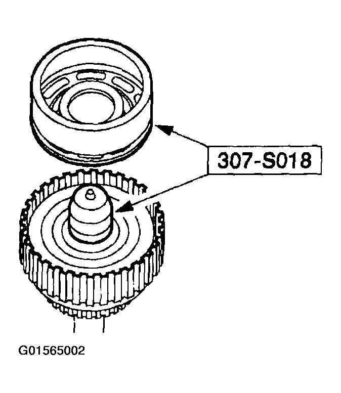 G01565002