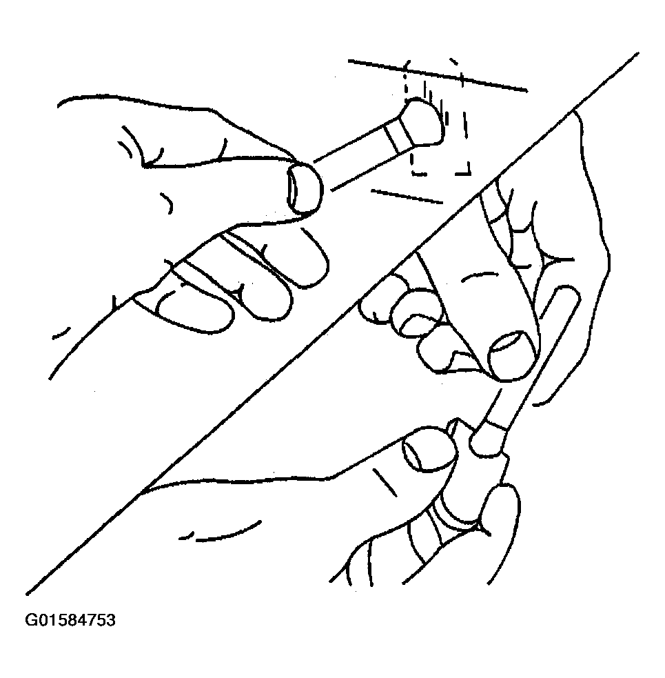 G01584753