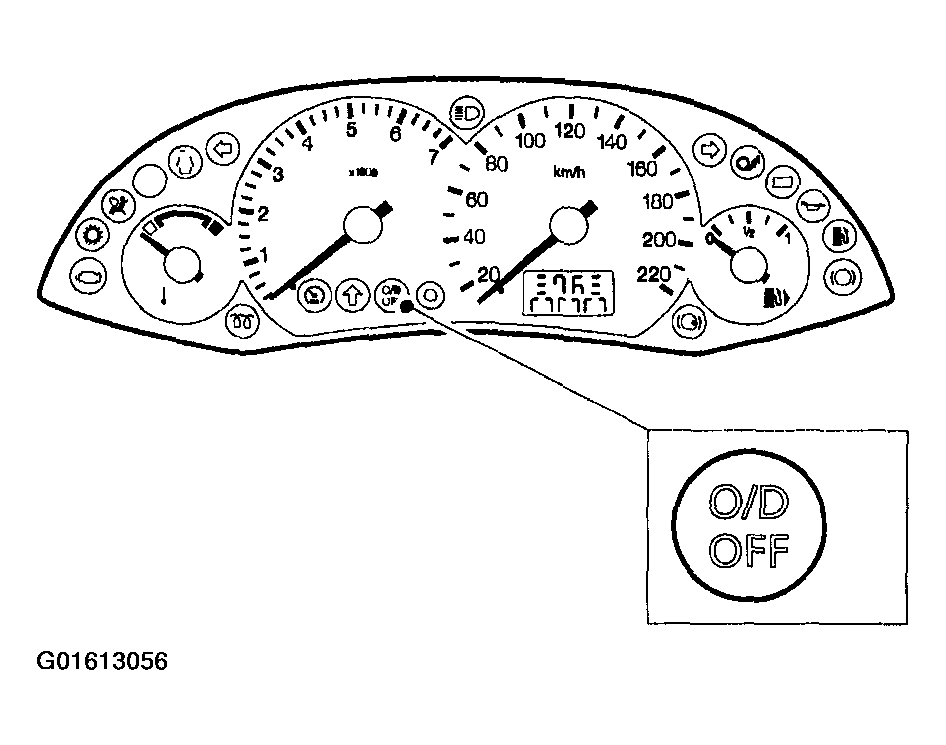G01613056