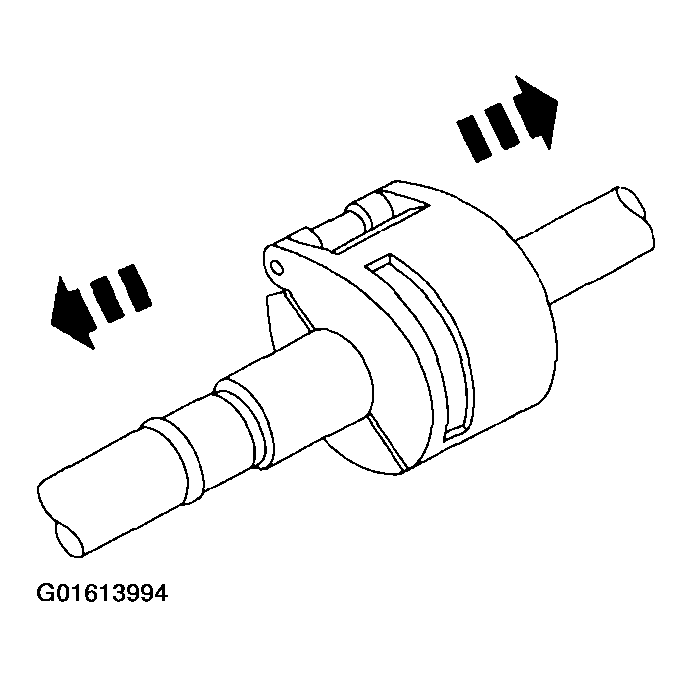 G01613994