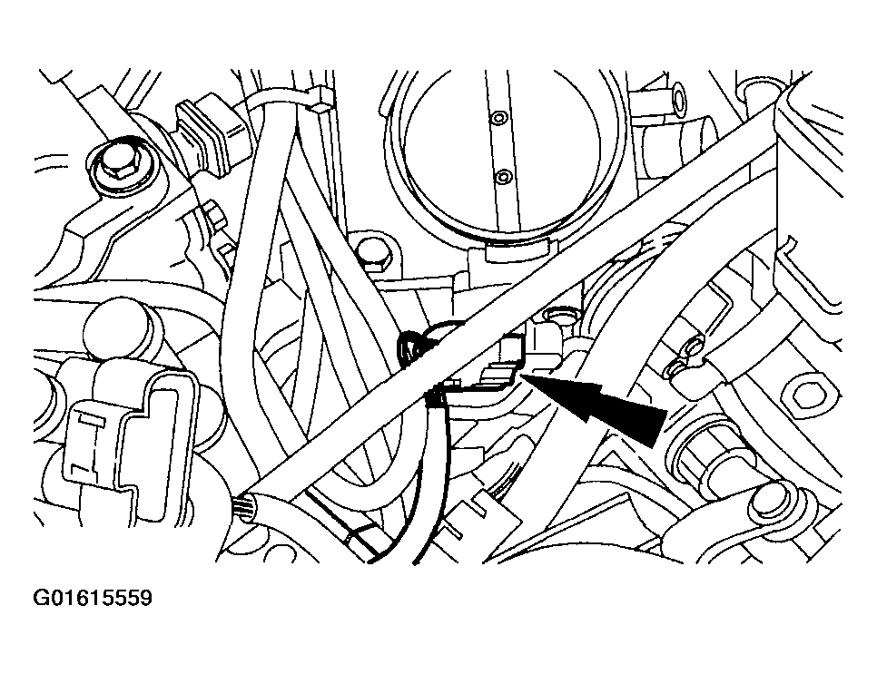 G01615559