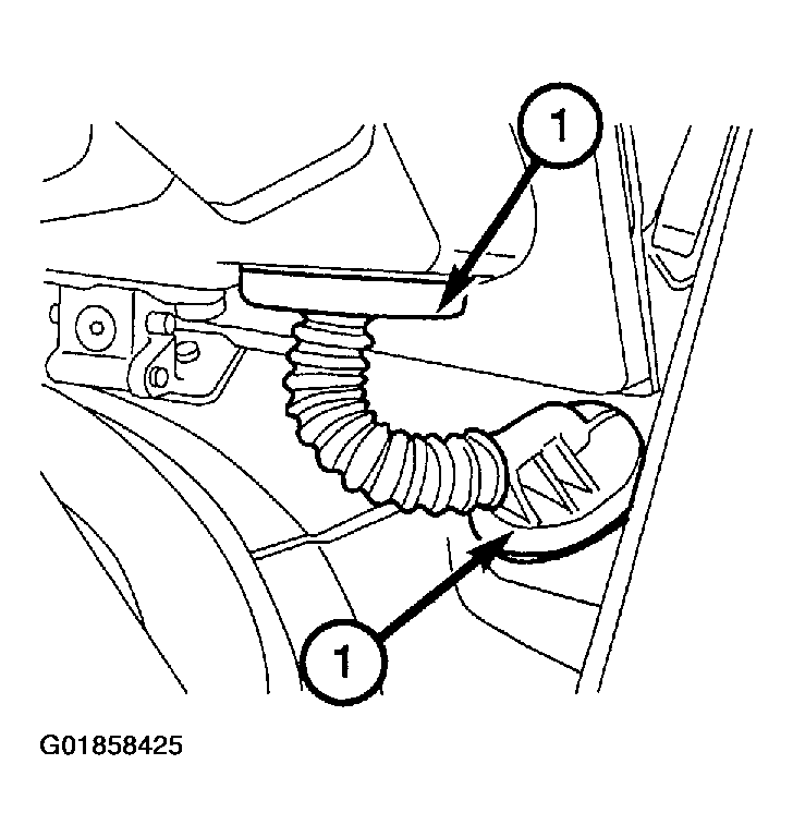 G01858425