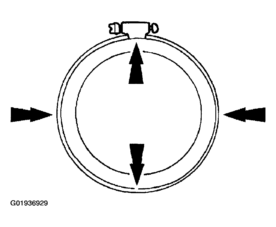 G01936929