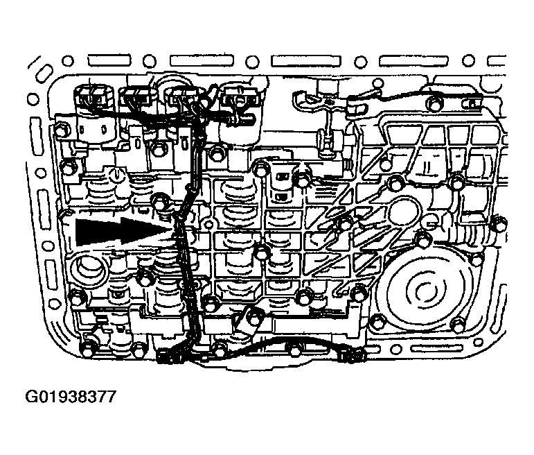 G01938377