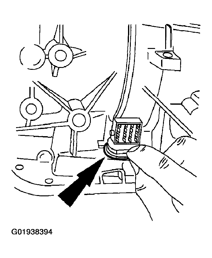G01938394
