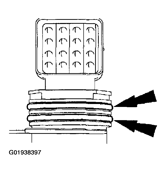 G01938397
