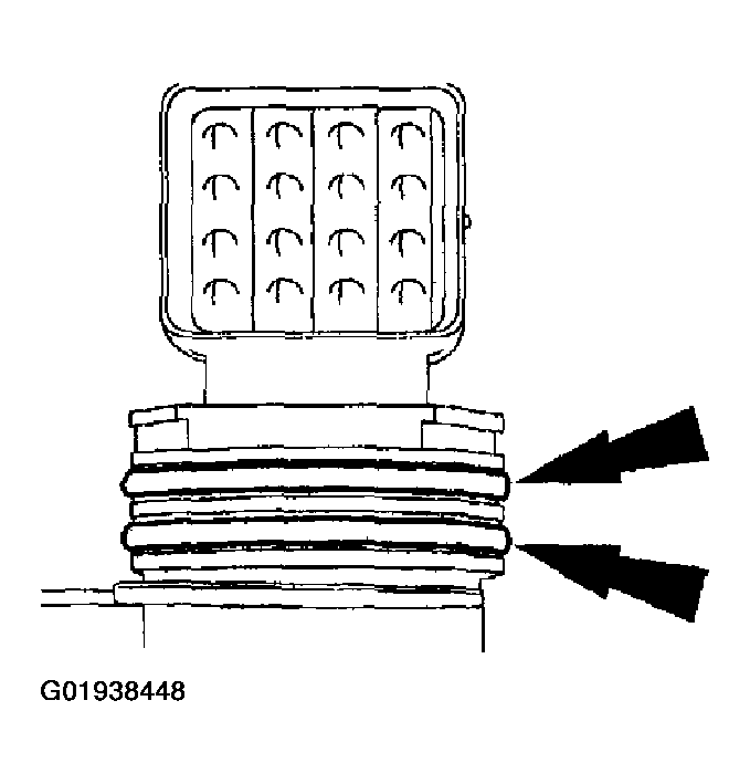 G01938448