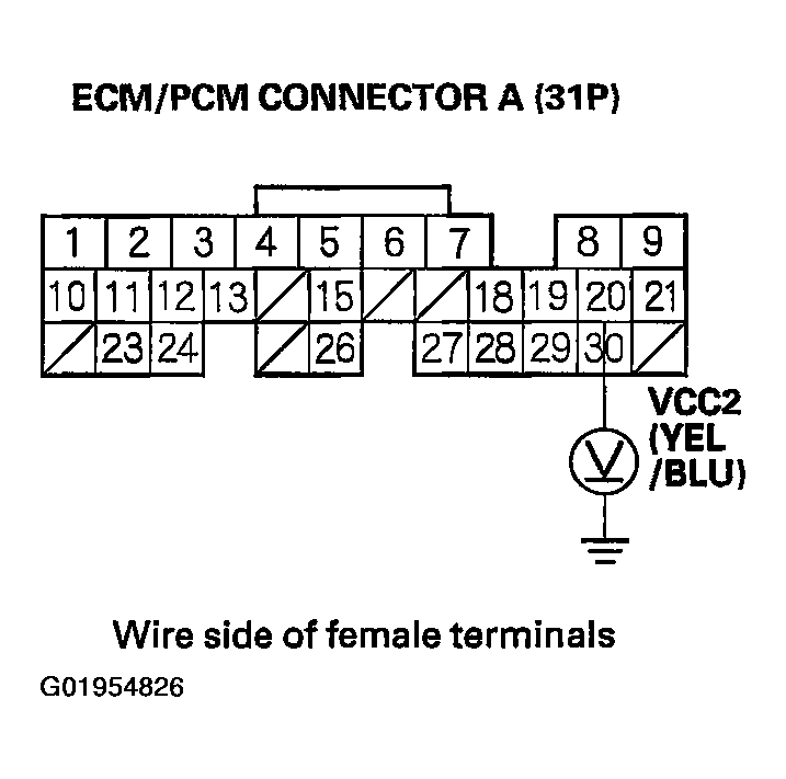 G01954826