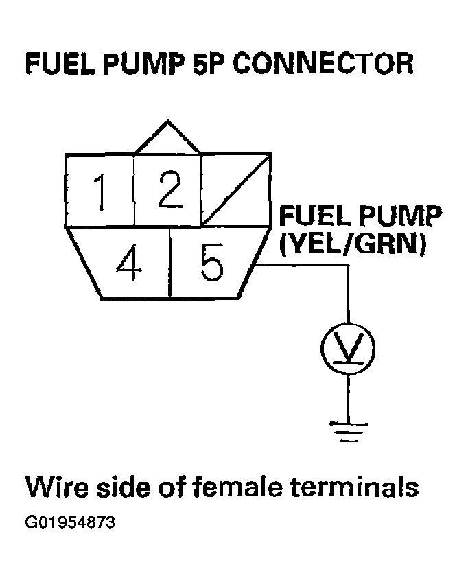 G01954873