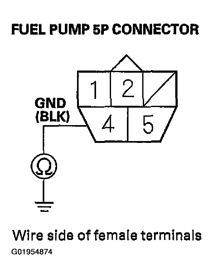 G01954874