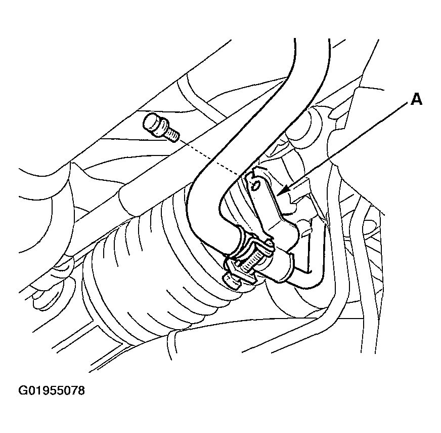 G01955078