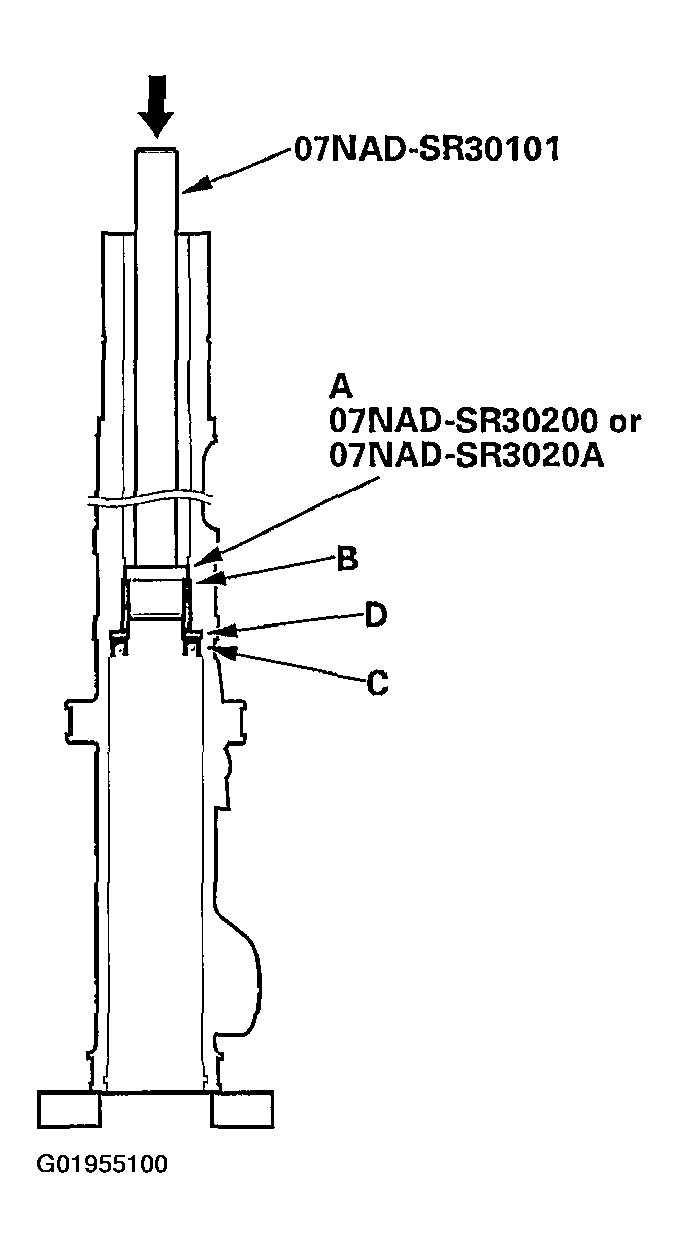 G01955100