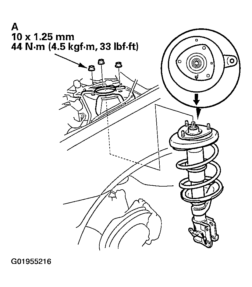 G01955216