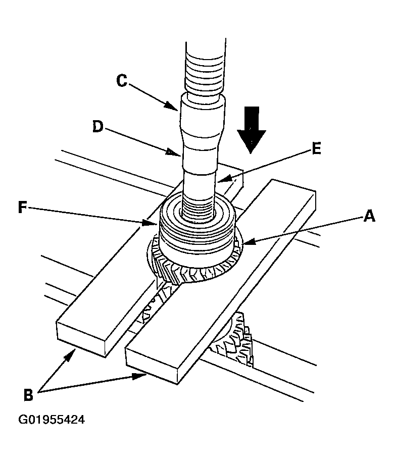 G01955424