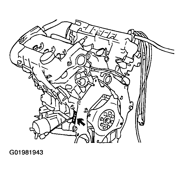 G01981943