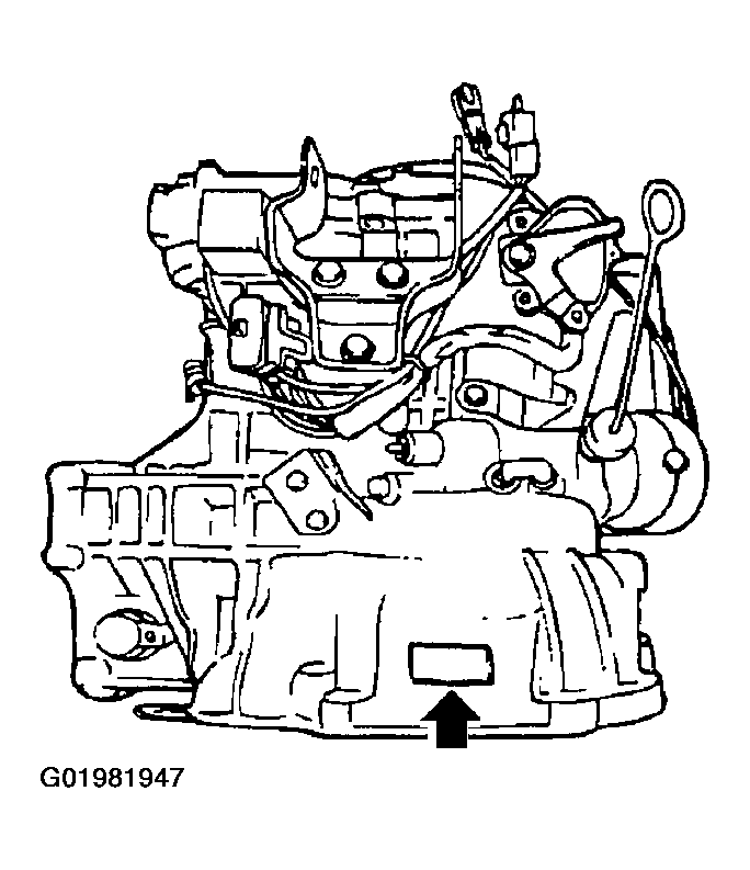 G01981947