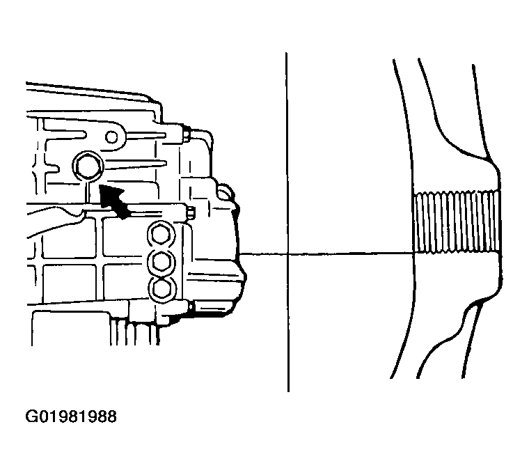 G01981988
