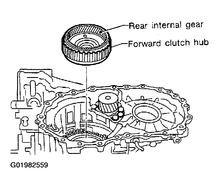 G01982559