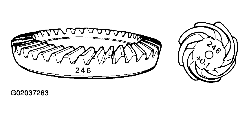 G02037263