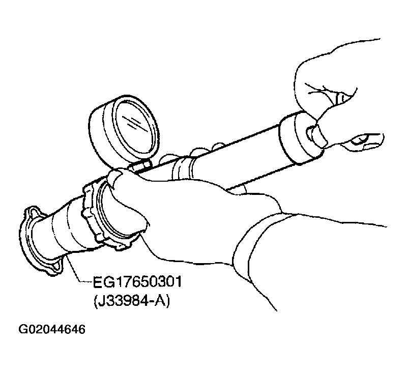 G02044646