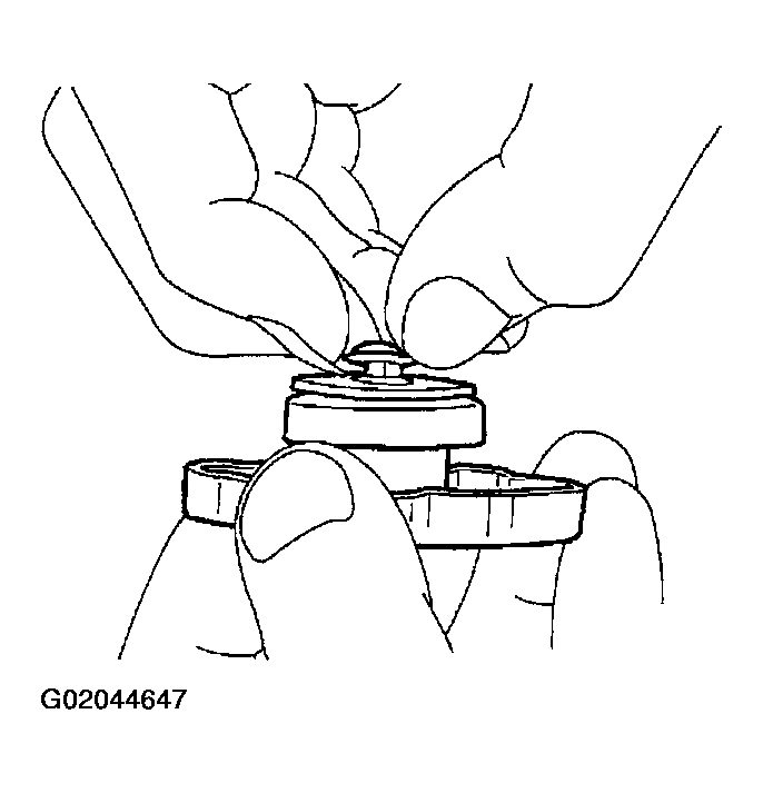 G02044647