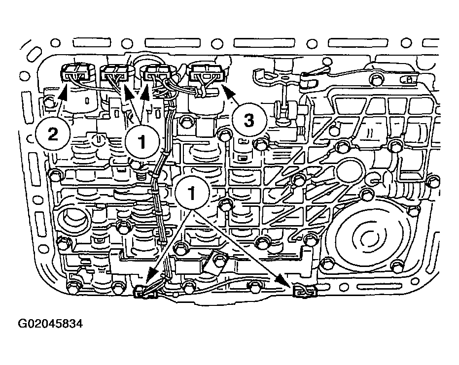 G02045834