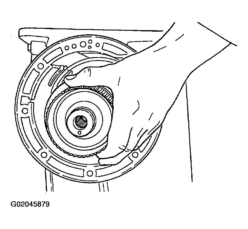 G02045879