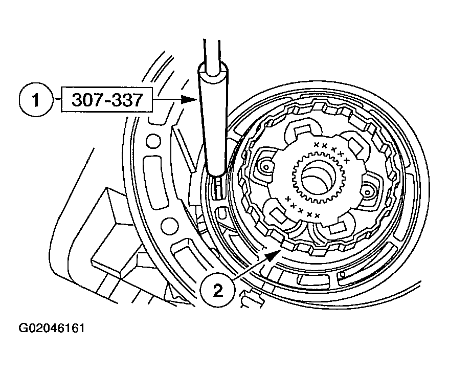 G02046161