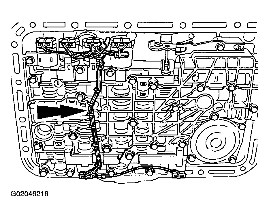 G02046216