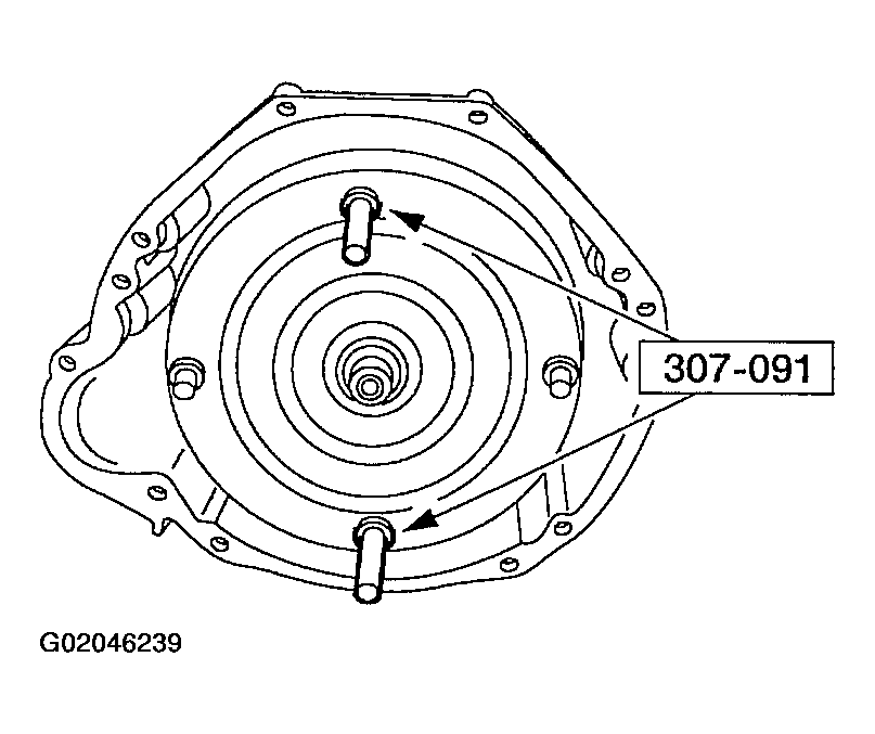 G02046239