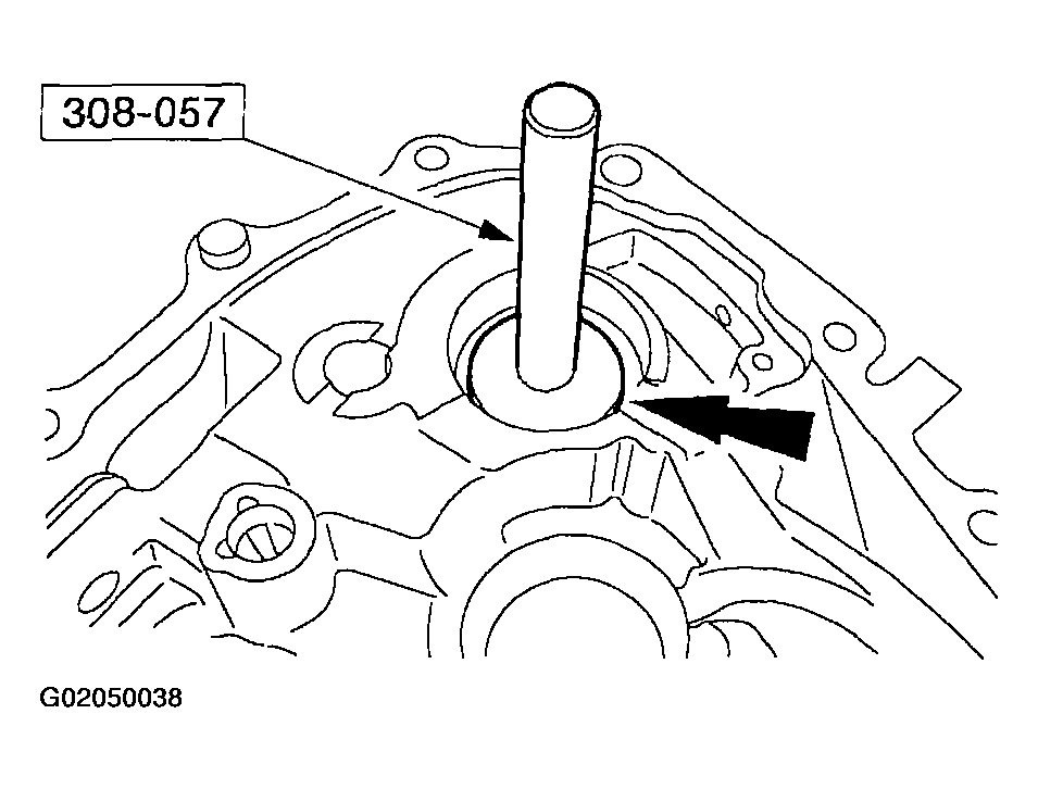 G02050038