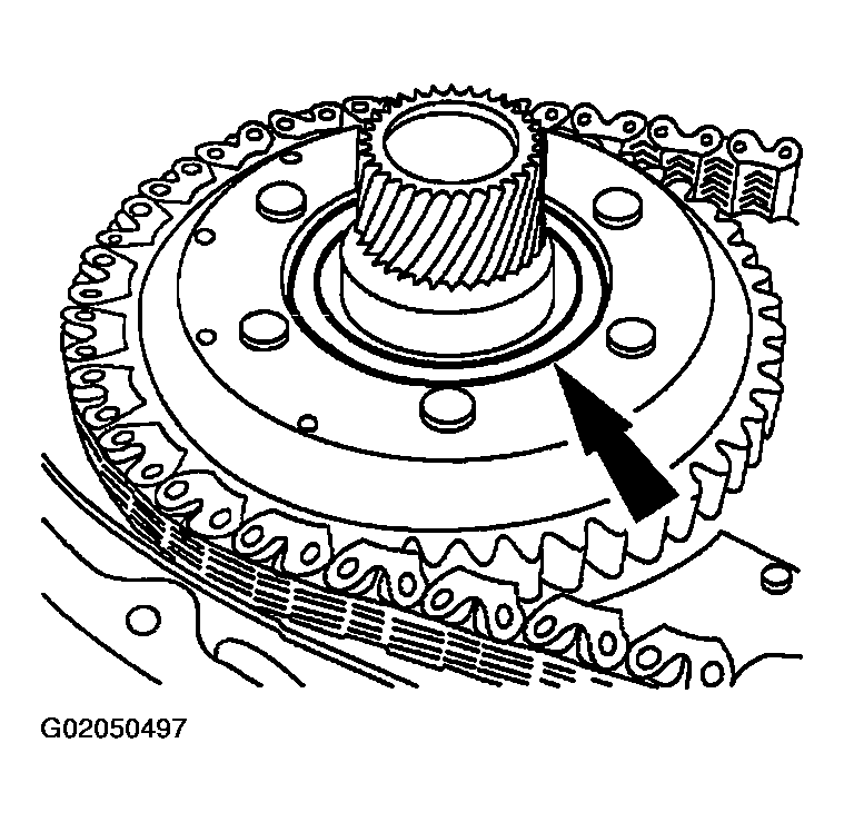 G02050497