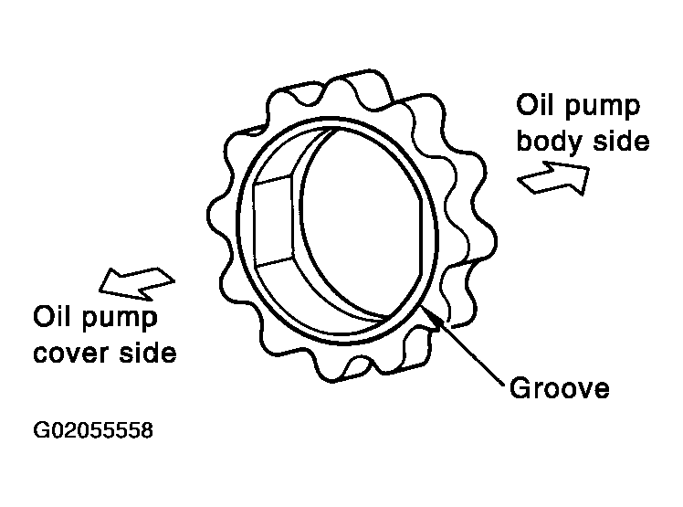 G02055558