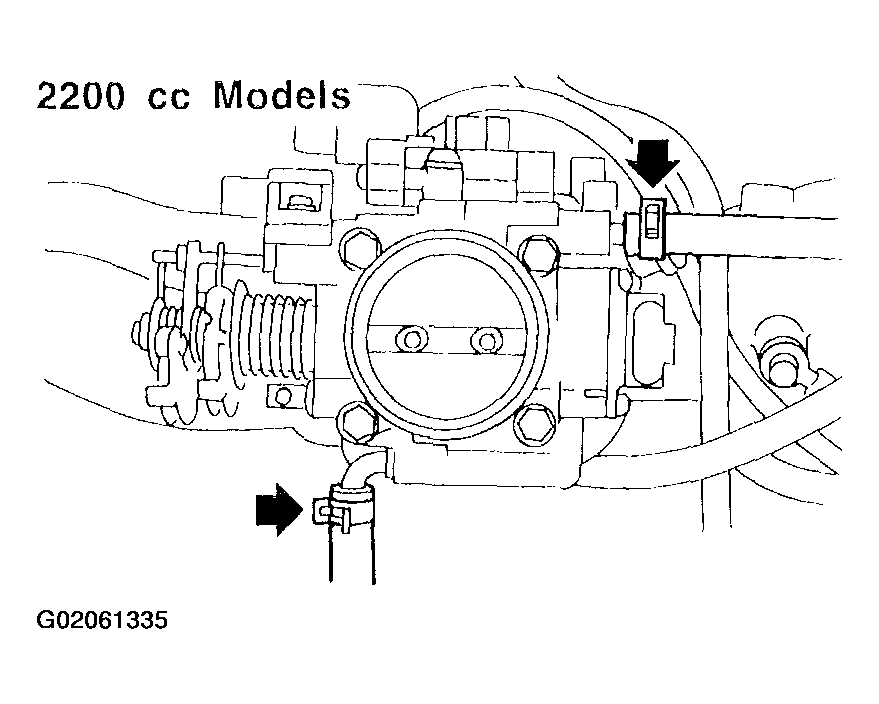 G02061335