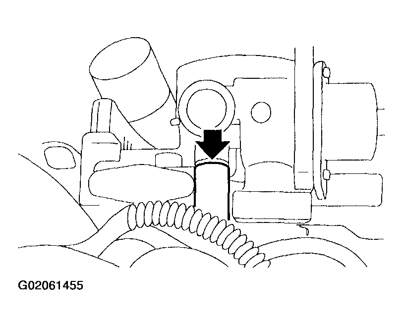 G02061455