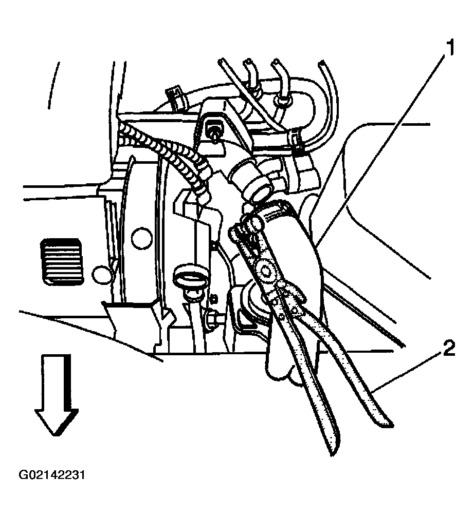 G02142231