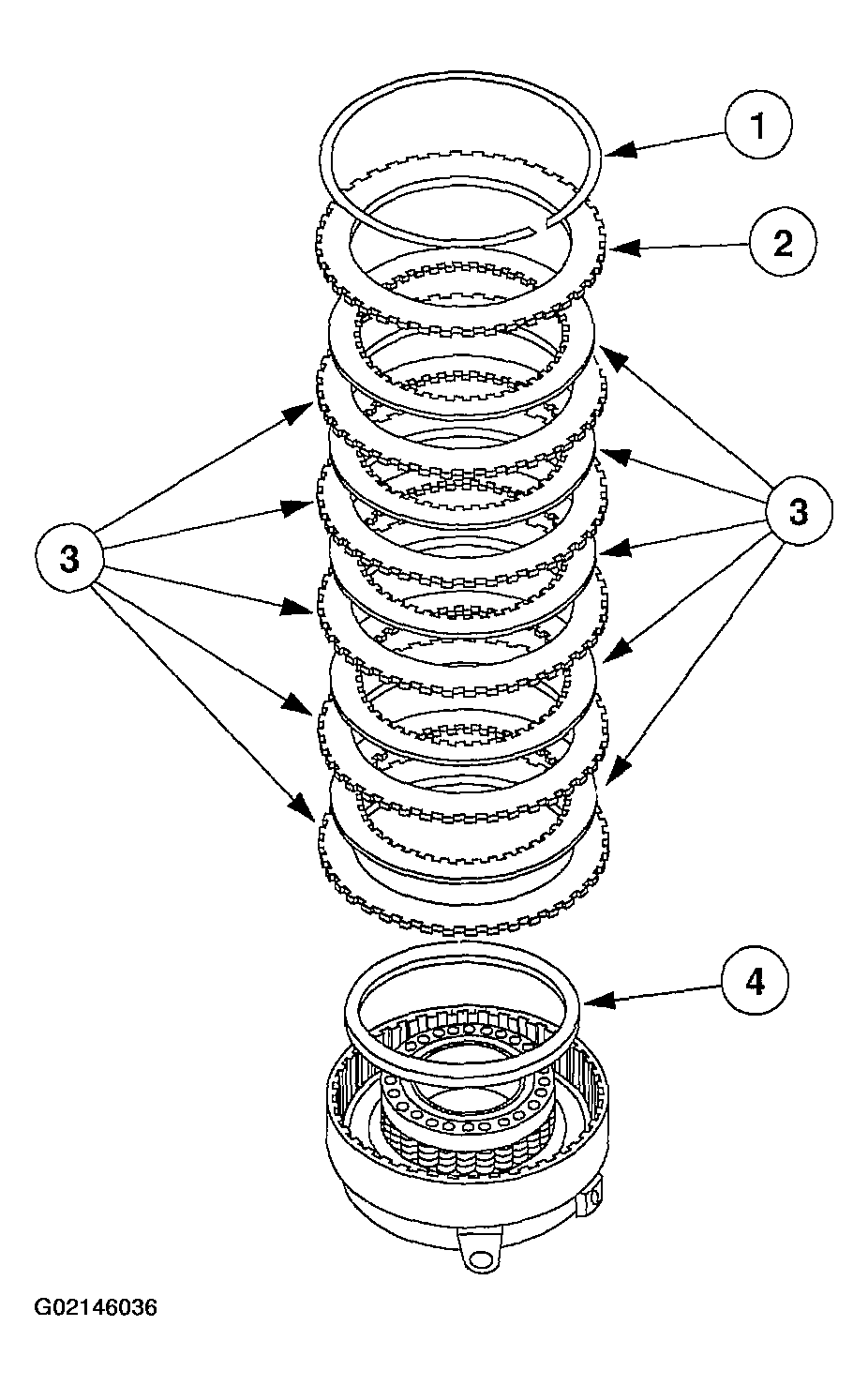 G02146036