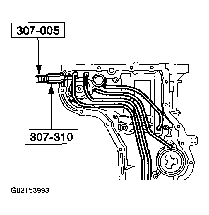 G02153993
